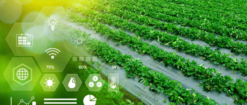 Technology Trends in India 2026 – artificial intelligence and digital innovation