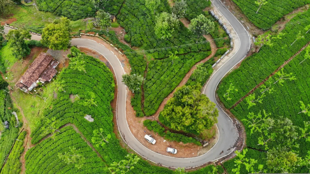 The Best Road Trips: Scenic Drives, Must-Visit Stops & Travel Tips