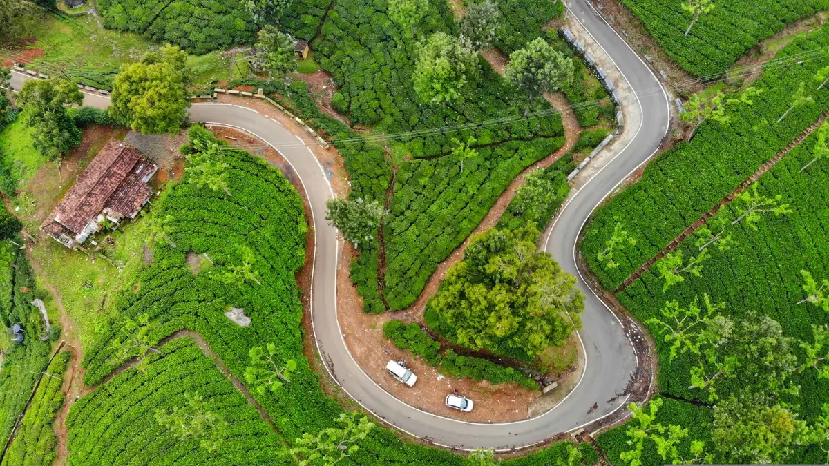 The Best Road Trips Scenic Drives, Must-Visit Stops & Travel Tips